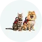 ESA for 2 Pets
