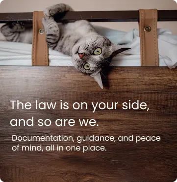The law is on your side, and so are we — cat resting on a shelf